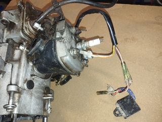 Motor Aprilia Rally 50 LC gris - En muy buen estad