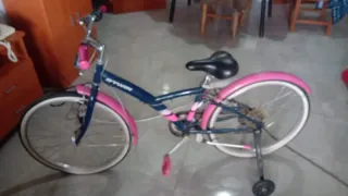 Bicicleta infantil azul y rosa