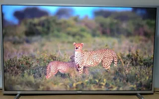 Smart TV Philips 43PUS6554/12 4K