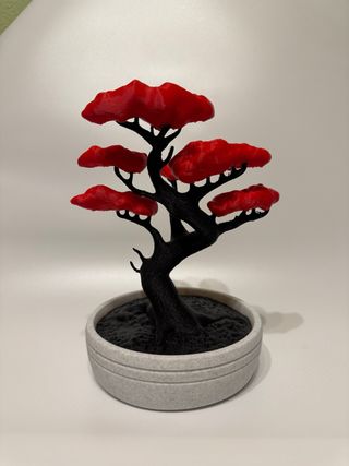 Bonsái Decorativo Rojo y Negro