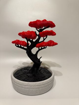 Bonsái Decorativo Rojo y Negro