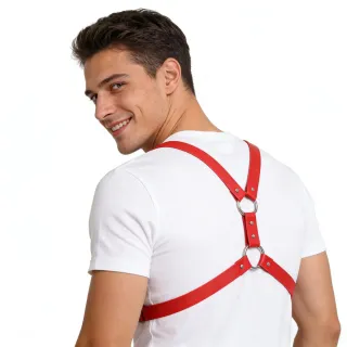 Pettorina harness cinghia imbracatura pettorali re