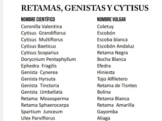 Plantas aromáticas y forestales
