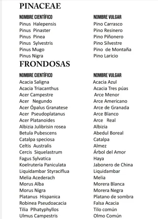 Plantas aromáticas y forestales