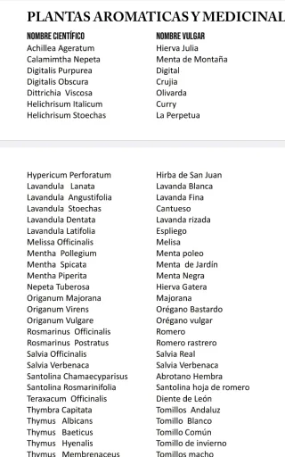 Plantas aromáticas y forestales