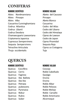 Plantas aromáticas y forestales