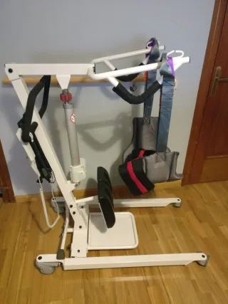 Grúa de bipedestación