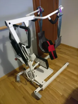 Grúa de bipedestación