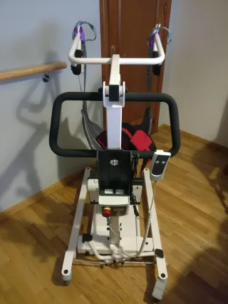 Grúa de bipedestación