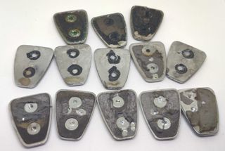 Simbolo Rover lateral usado original