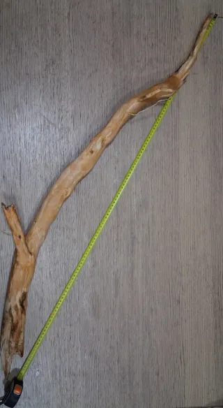 Raíces de pino para terrario