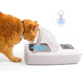 Comedouro com leitor de chip