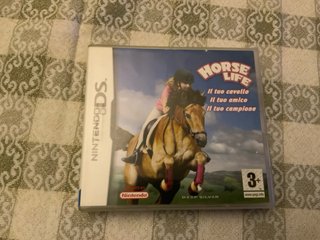 Giochi Nintendo DS Lite
