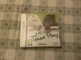 Giochi Nintendo DS Lite