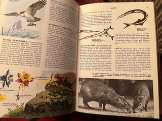 Enciclopedia Clasica Ciencias Naturales (Completa)