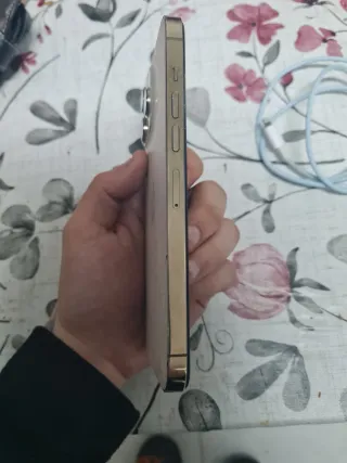 iPhone 13 Pro Max 256 GB Oro