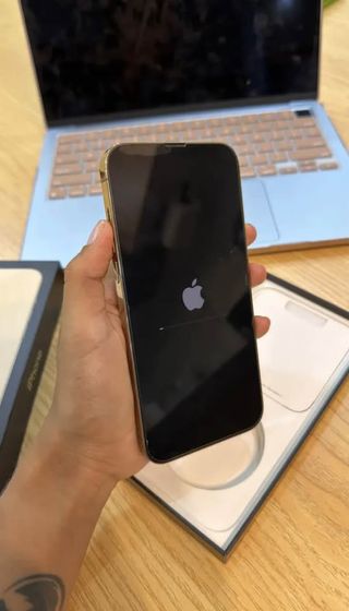 iPhone 13 Pro Max Oro