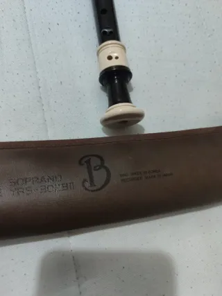 Flauta Yamaha con funda