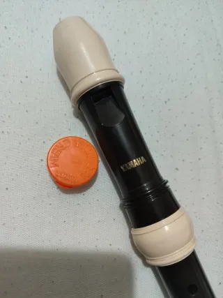Flauta Yamaha con funda