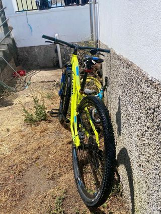 Bicicleta niño wolfbike
