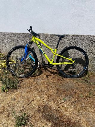 Bicicleta niño wolfbike