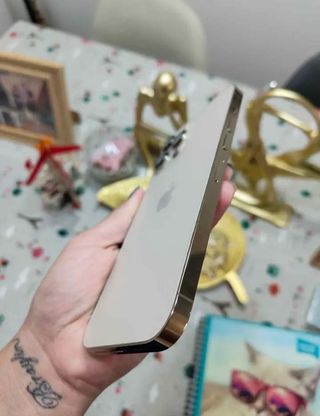 iPhone 13 Pro Max Oro/Argento