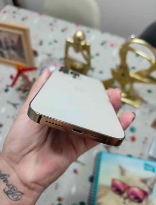 iPhone 13 Pro Max Oro/Argento