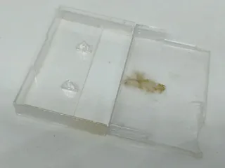 Blaze Out C64 - Ocean (Light Fantastic Bundle)