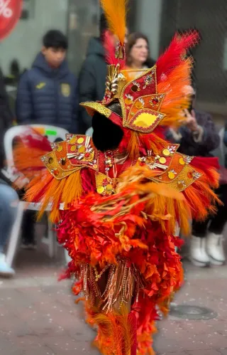 Disfraz Ave Fénix 9 años