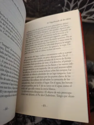 El Vagabundo de los Aires - Didier Favre