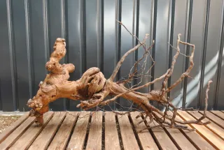 OFERTA! Raíz/tronco Decoración acuario