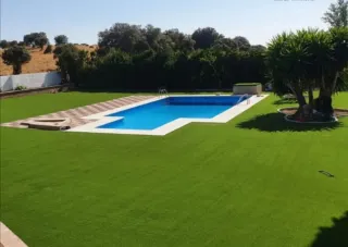 Servicios de jardinería y césped artificial