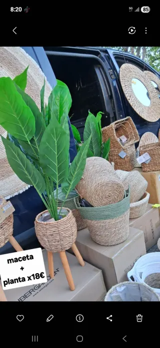 Maceta con planta y patas x18€