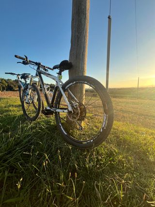 Bicicleta Scott Scale