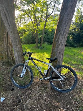 Bicicleta Scott Scale