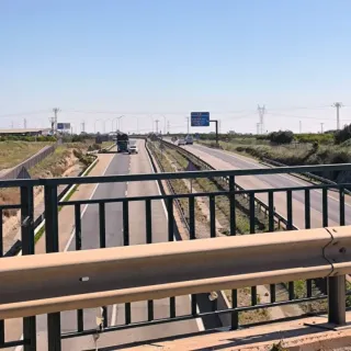 Parcela 15 hag. en Camí Pla Museros Almassora