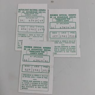 Cupones Recargo Seguridad Social Agrario