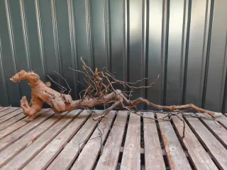 OFERTA! Raíz/tronco Decoración acuario