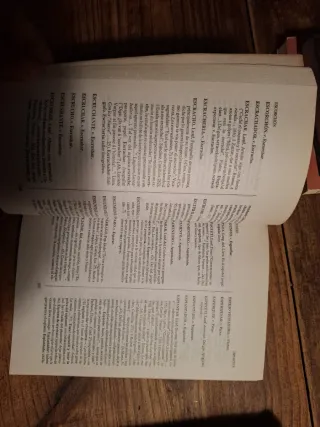 DICCIONARIO LUNFARDO