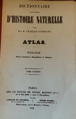 Antichità - Tavola storica uccello