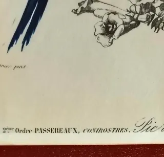 Antichità - Tavola storica uccello