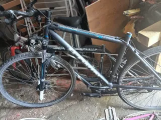 Bicicletas
