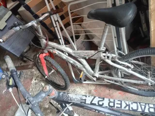 Bicicletas