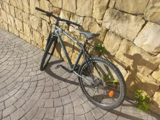 Bicicleta de Montaña