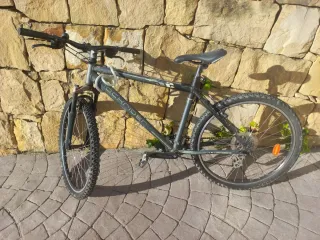 Bicicleta de Montaña