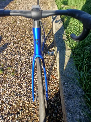 Giant Propel 2024 Talla ML