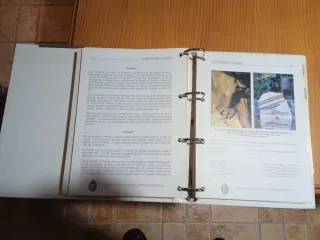 Curso Corte y Confección Niño