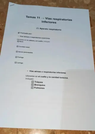 Temas 7-11 Anatomía UA (logopedia) 2025/2026