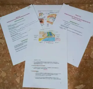 Temas 7-11 Anatomía UA (logopedia) 2025/2026