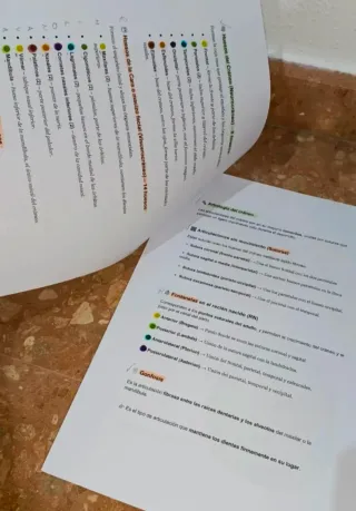 Temas 7-11 Anatomía UA (logopedia) 2025/2026